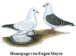 Homepage von Eugen Mayer